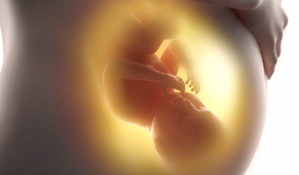 Исцеления биографии