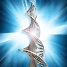 Кундалини Рейки Платинум (с обратной связью)